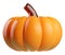 Pumpkin 3d icon, 3d stylized illustration for Thanksgiving. 3d rendered cartoon model of pumpkin