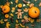 Pumpkin and autumn season leaves with teddy bear toy