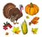 Pumpkin and Autumn Symbols Harvest Set Vector