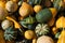 Pumpkin bale - yellow, green and striped pumpkins