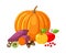 Pumpkin and Beetroot Apples Fruits Veggies Vector