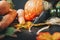 Pumpkin, bell pepper, carrot, onion, autumn leaves, hay, black mouse on black background, vegetable, autumn harvest