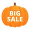 Pumpkin big sale icon cartoon vector. Halloween sale