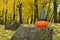 A pumpkin and a black witch hat on a large stone against the scenic autumnal park