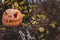 Pumpkin with carved eyes and mouth on the stump. Decor for Halloween. Scary forest.