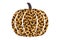 Pumpkin with Cheetah Print illustration