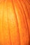 Pumpkin Close Up