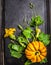 pumpkin Composition with stems, leaves, flowers and small fruits on dark background