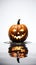 pumpkin concept halloween