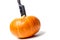 A pumpkin cooked to make a halloween lantern, and a sharp knife for making a face