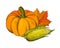 Pumpkin and Corn Maize Autumn Harvesting Vector