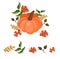 Pumpkin decor autumn harvest vector illustration card festival