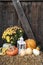 Pumpkin display on a farm