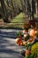 Pumpkin display in a park in Autumn