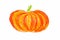 Pumpkin drawing isolated