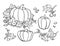 Pumpkin drawing set. Isolated outline vegetable, plant,