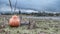 Pumpkin on the dry green lake bottom over the heavy clouds