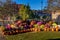 Pumpkin Festival Display