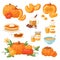Pumpkin food vector soup, cake, pie meals organic healthy autumn food delicious harvest time seasona pumpkin