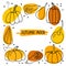 Pumpkin frame. Hand drawn autumn vector collection.Thanksgiving or Halloween holidays sketch design. Pumpkin sketch icon