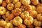 Pumpkin Gourds   838657