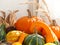 Pumpkin, Gourds and Corn in Window III