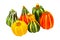 Pumpkin gourds isolated