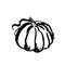 Pumpkin grunge icon. Vector hand drawn brush illustration.