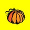 Pumpkin grunge icon. Vector hand drawn brush illustration.