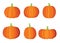 Pumpkin halloween fruit design on white background