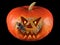 Pumpkin, halloween, old jack-o-lantern on black background with fiery flames in the eyes, and Tarantula Antilles Pinktoe Avicular