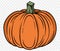 Pumpkin hand drawing brush style isolated on transparent PNG. Perfect for halloween and Thanksgiving backgrounds.Vector