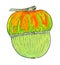 Pumpkin. Hand-drawn vegetable with stripes