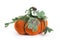 Pumpkin handmade from felted wool for celebration of Halloween