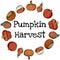 Pumpkin harvest decorative wreath banner with cute colorful pumpkins. Fall harvest greetings postcard