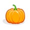 Pumpkin. Harvest Thanksgiving vector illustration