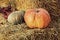 Pumpkin on hay bale.Thanksgiving Display.