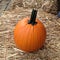 Pumpkin on a hayride