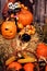 Pumpkin heads and autumn props on wooden background