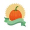 Pumpkin healthy vegetable detailed style icon