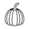 Pumpkin healthy vegetable isolated style icon