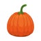 Pumpkin healthy vegetable isolated style icon