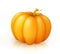 Pumpkin icon