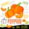 Pumpkin icon label fresh organic vegetable, vegetables nuts herbs spice condiment color graphic design vegan food.