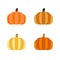Pumpkin icon vector, pumpkin sign, varied colours
