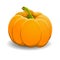 Pumpkin isolated on white. vector illustration.