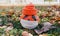 Pumpkin in a knitted hat and medical mask on a background of colorful maple leaves on green grass without people Halloween concept