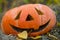 Pumpkin lantern on the autumn grass on Halloween