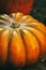 Pumpkin large ribbed pumpkin close-up autumn harvest background base