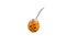 Pumpkin mate calabash with bombilla on a white background